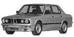 BMW E28 B3145 Fault Code